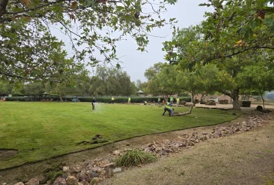 image17